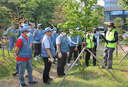 도시공원 숲 가꾸기 활동사진