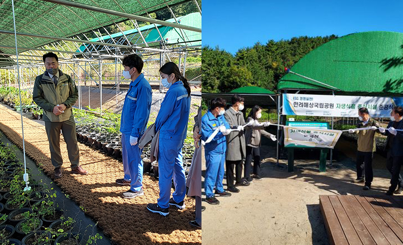 (좌)참석직원들이 증식장을 둘러보며 해설을 듣고 있다. (우)포스코엠텍·포스코ICT·포스코플로우 임직원이 증식장 홍보 팻말 개장식에서 현판식을 하고 있다